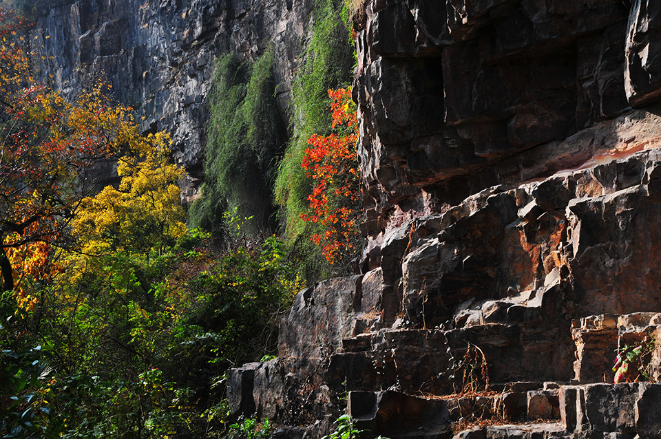 军山河畔风光好 南通小九寨沟秋色正浓 (6).jpg