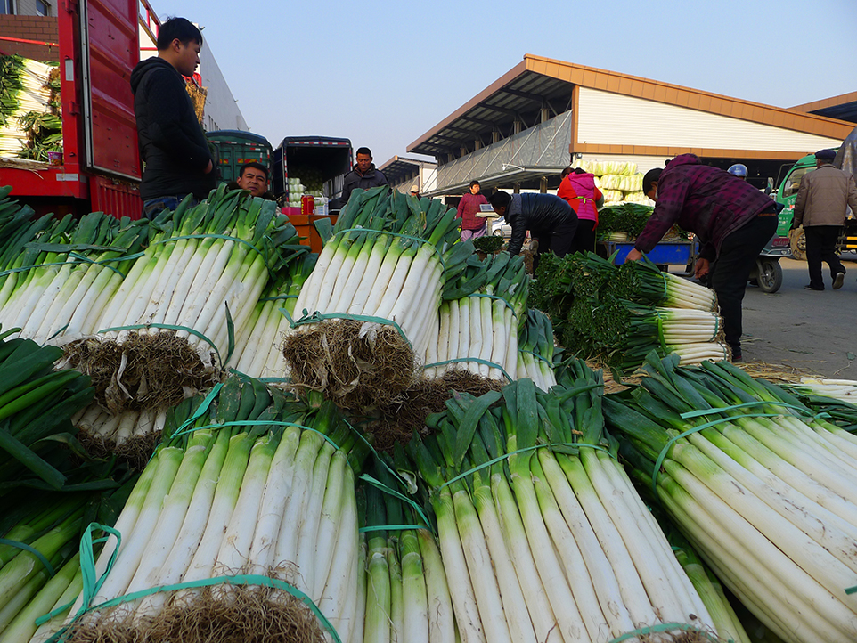 南通物流中心冬季蔬菜货源充足购销两旺 (1).jpg