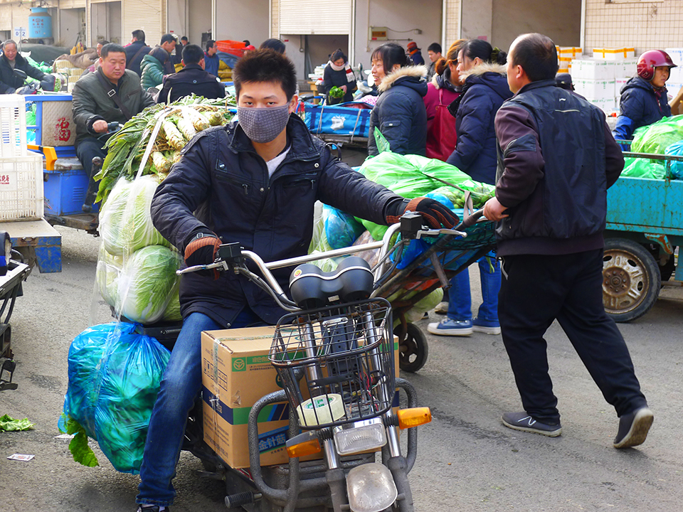 南通物流中心冬季蔬菜货源充足购销两旺 (8).jpg