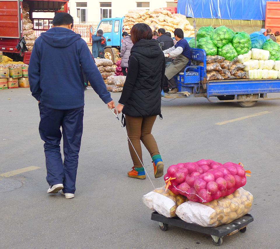 南通物流中心冬季蔬菜货源充足购销两旺 (9).jpg