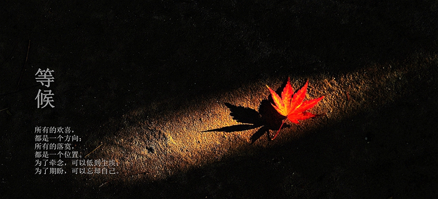 DSC_0061_副本1_副本 (3).jpg