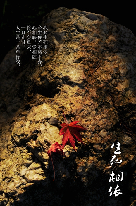 DSC_0068_副本 (2).jpg