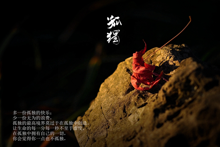 DSC_0073_副本 (2).jpg