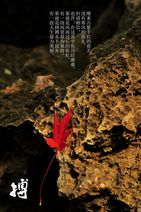 DSC_0202_副本 (2).jpg