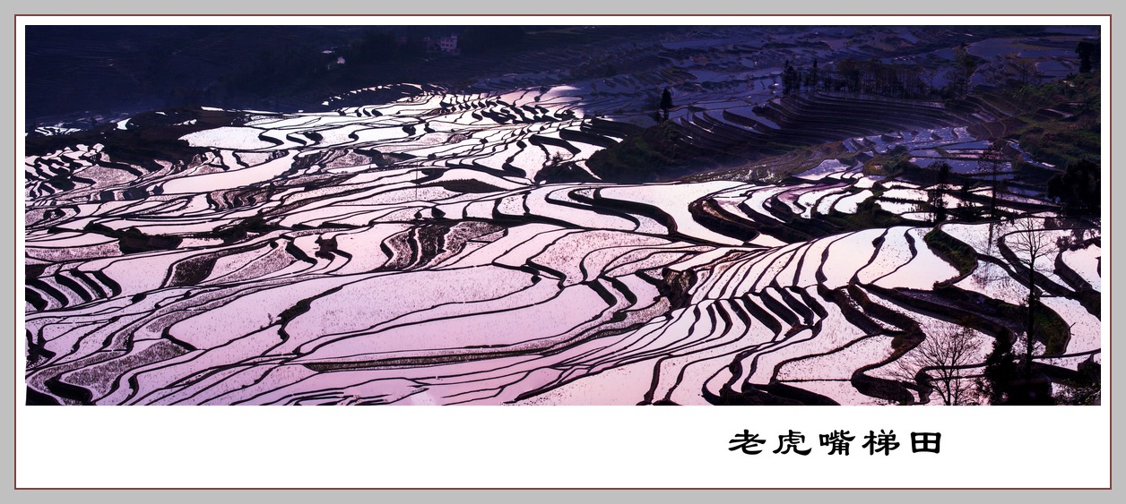 未标题_全景图1 (2).jpg