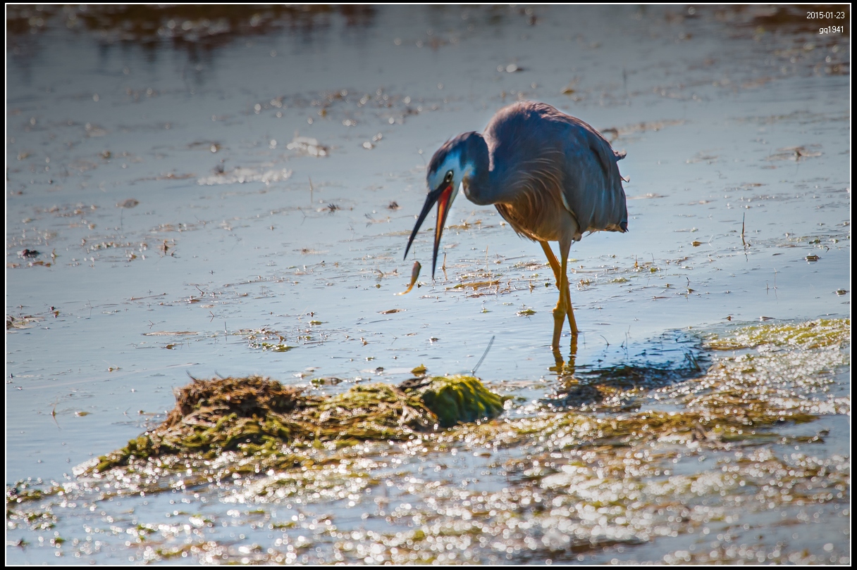 IMG_1122 副本s.jpg