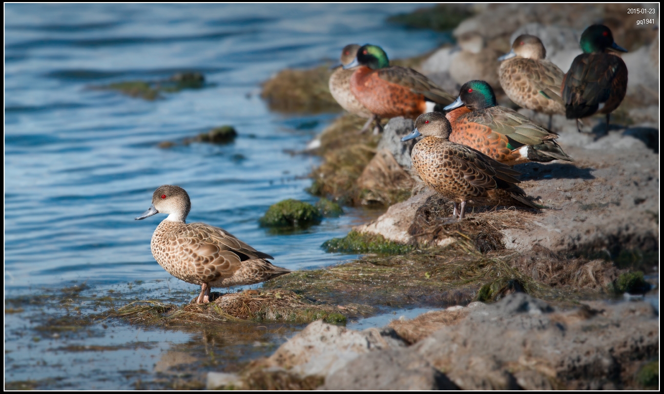 IMG_1042 1044全景图-s.jpg