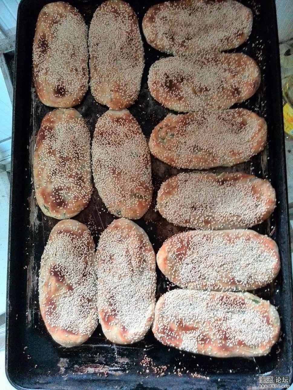 一盆草鞋底来张特写