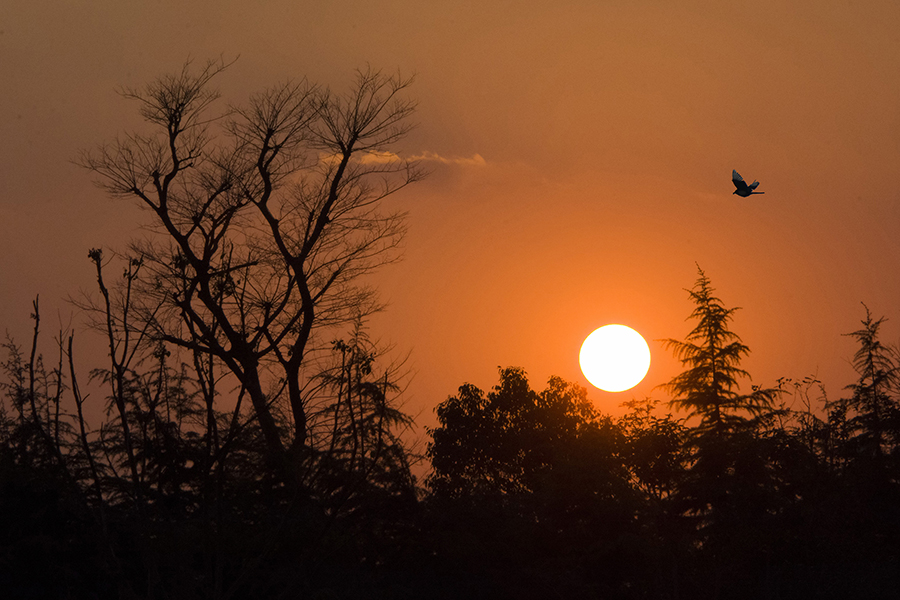 6272-1副本-- - 副本-0.jpg