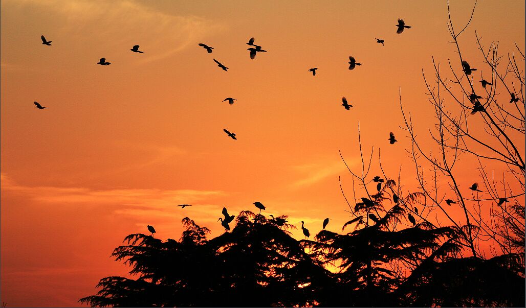 9%3H[]JLAN1CUQ0%`4.jpg