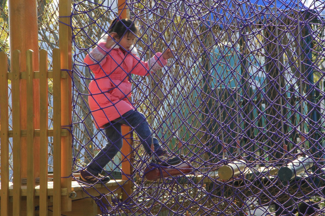 在寻踪之路上过把瘾。