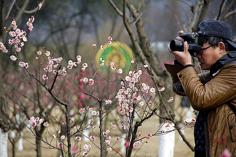 千载士子独爱吾，摄入镜中上案头。
