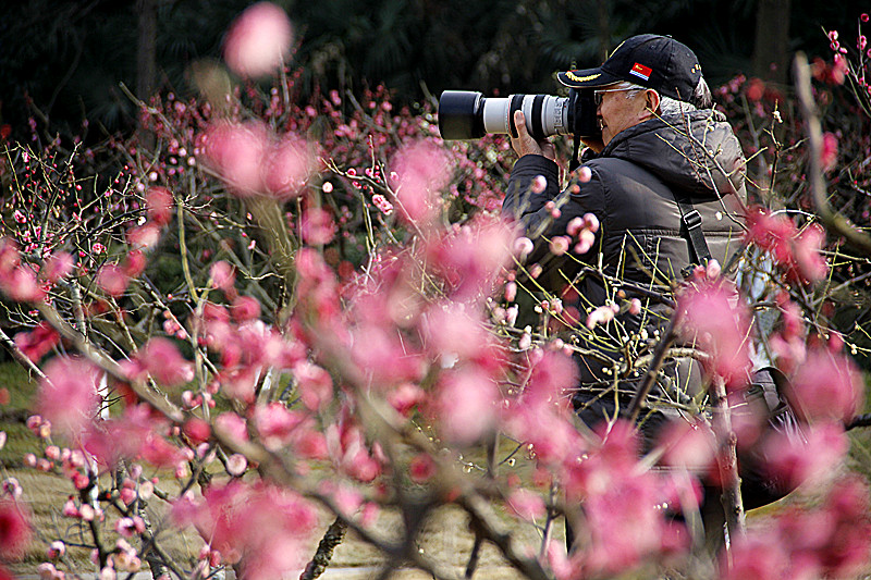 千载士子独爱吾，摄入镜中上案头。