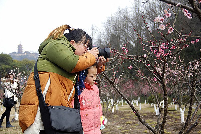 千载士子独爱吾，摄入镜中上案头。