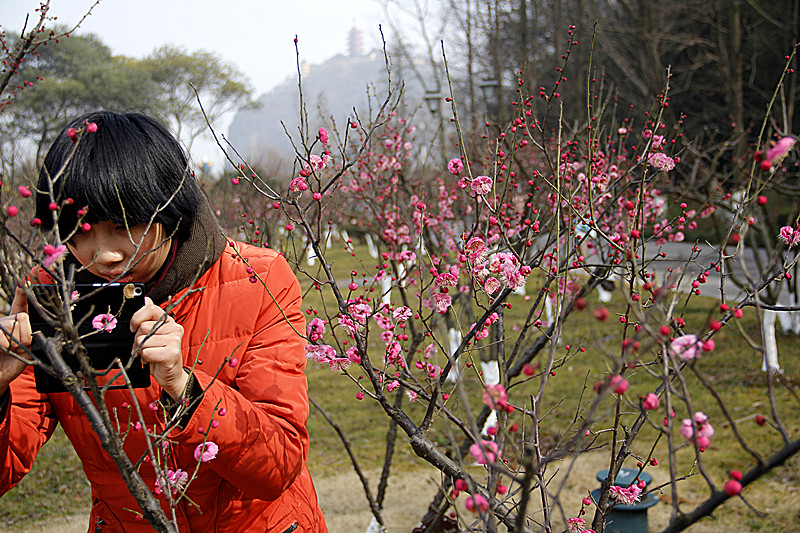 千载士子独爱吾，摄入镜中上案头。