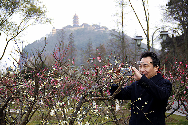 千载士子独爱吾，摄入镜中上案头。