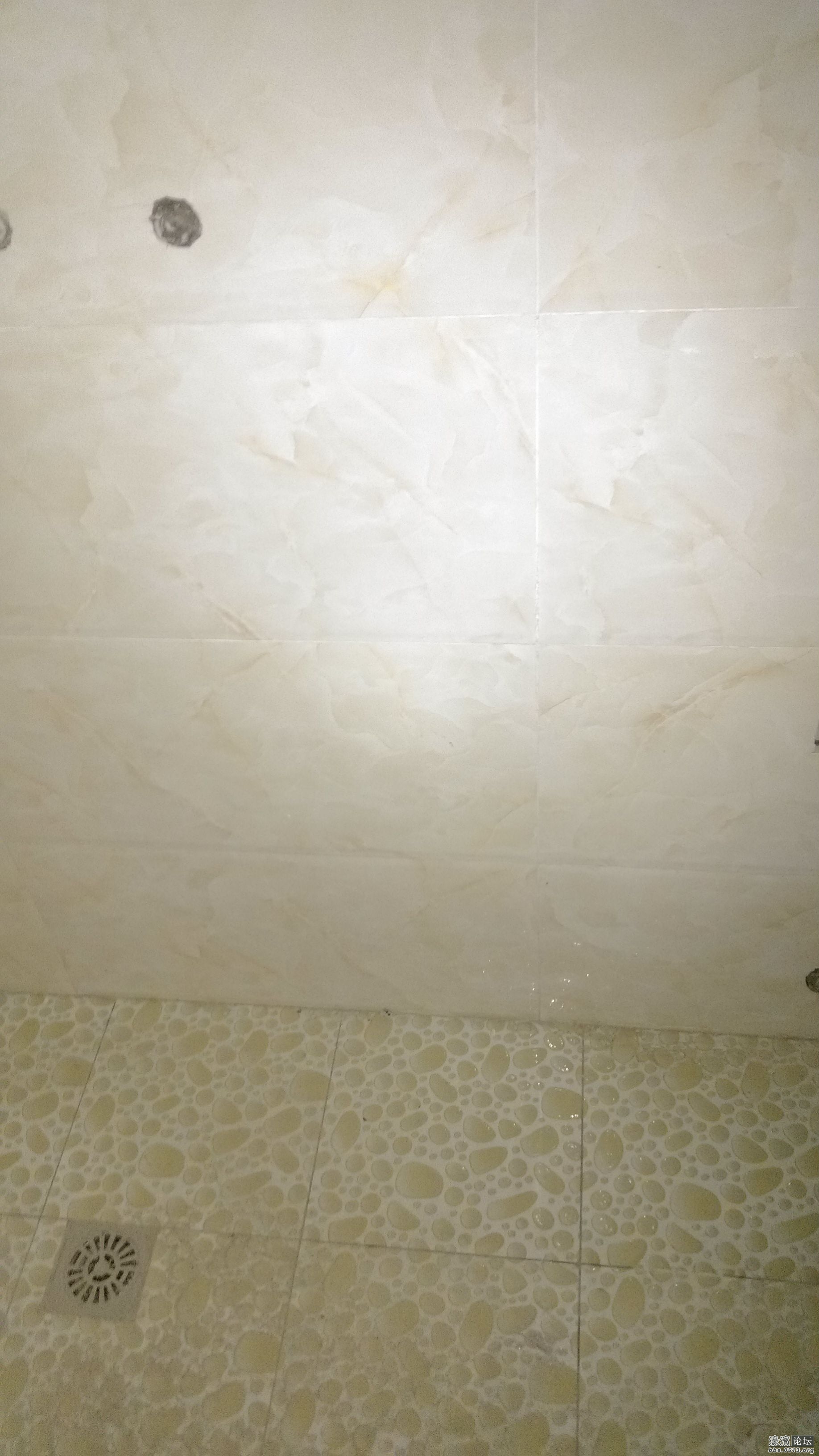 卫生间墙砖地砖.jpg