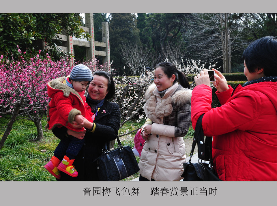 啬园梅飞色舞  踏春赏景正当时   (2).jpg