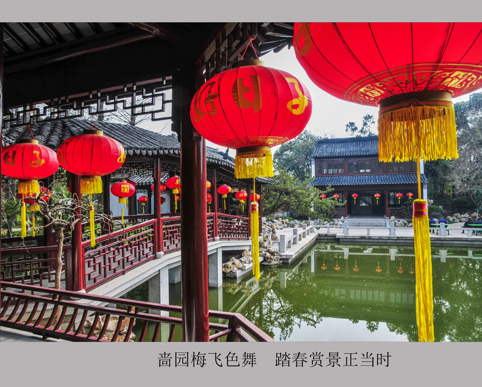 啬园梅飞色舞  踏春赏景正当时   (3).jpg