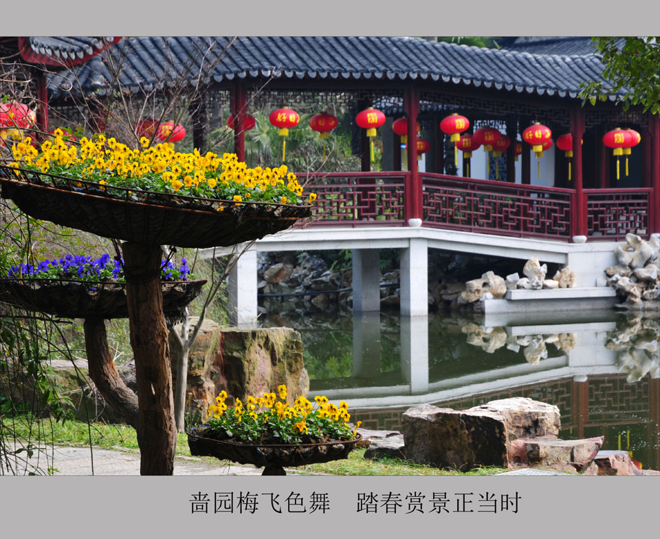 啬园梅飞色舞  踏春赏景正当时   (4).jpg