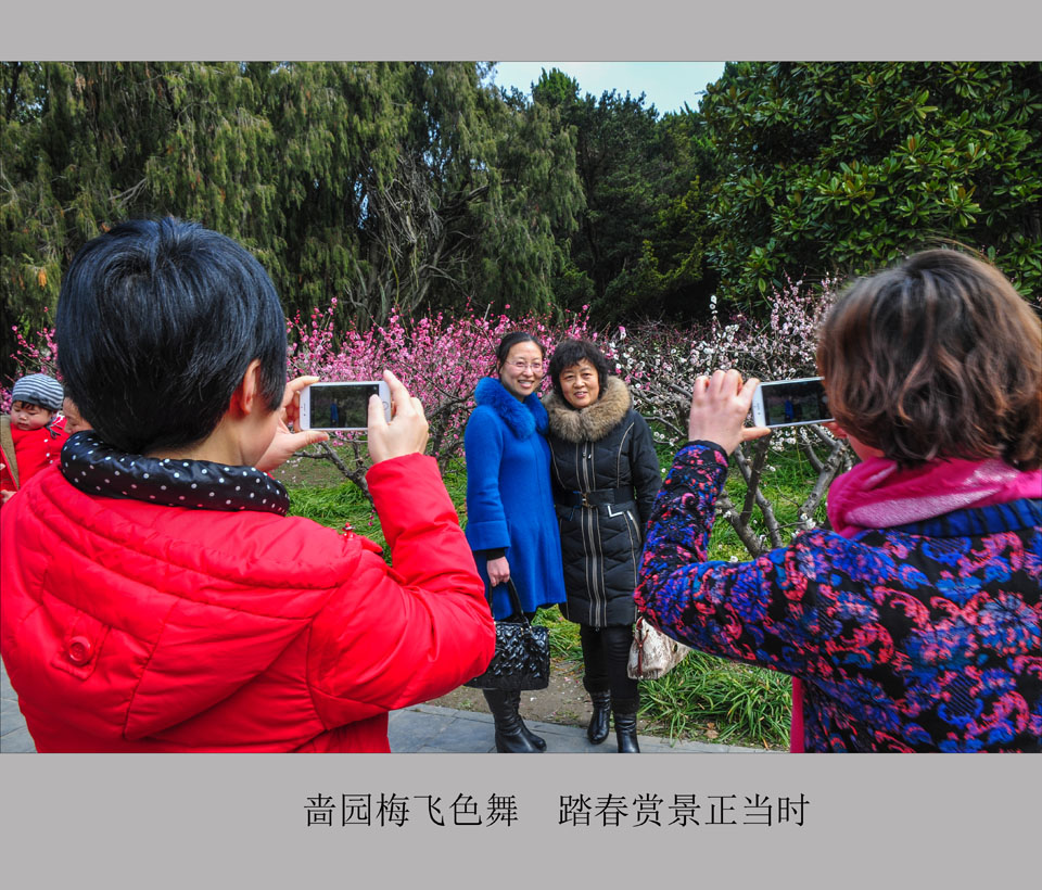 啬园梅飞色舞  踏春赏景正当时   (5).jpg