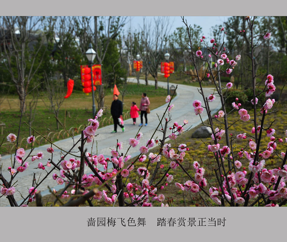 啬园梅飞色舞  踏春赏景正当时   (7).jpg