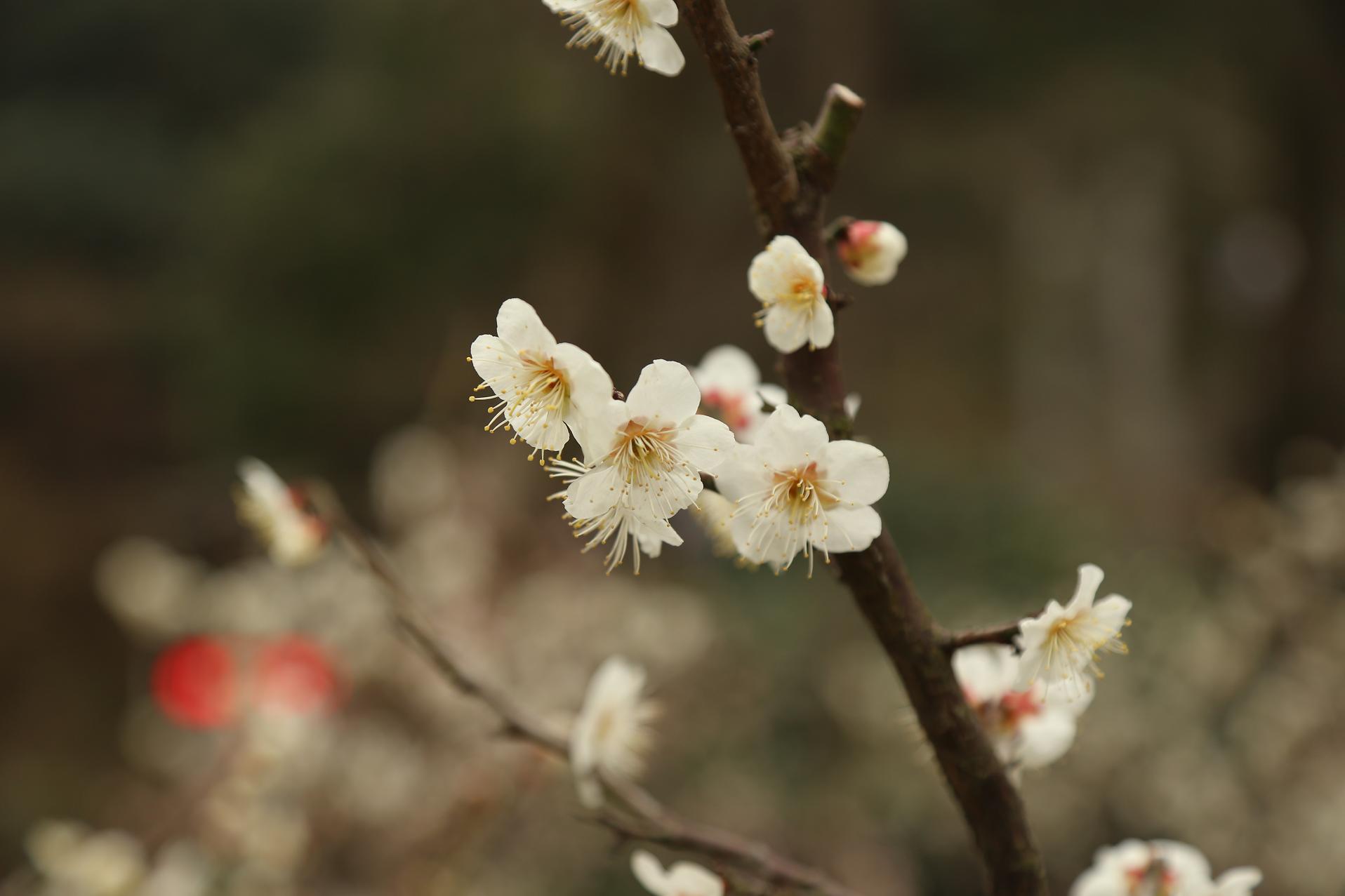 照片2015.3.7 039.jpg