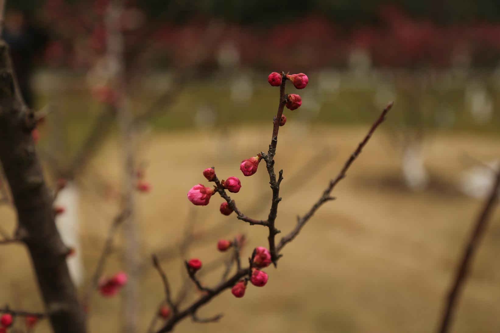 照片2015.3.7 077.jpg