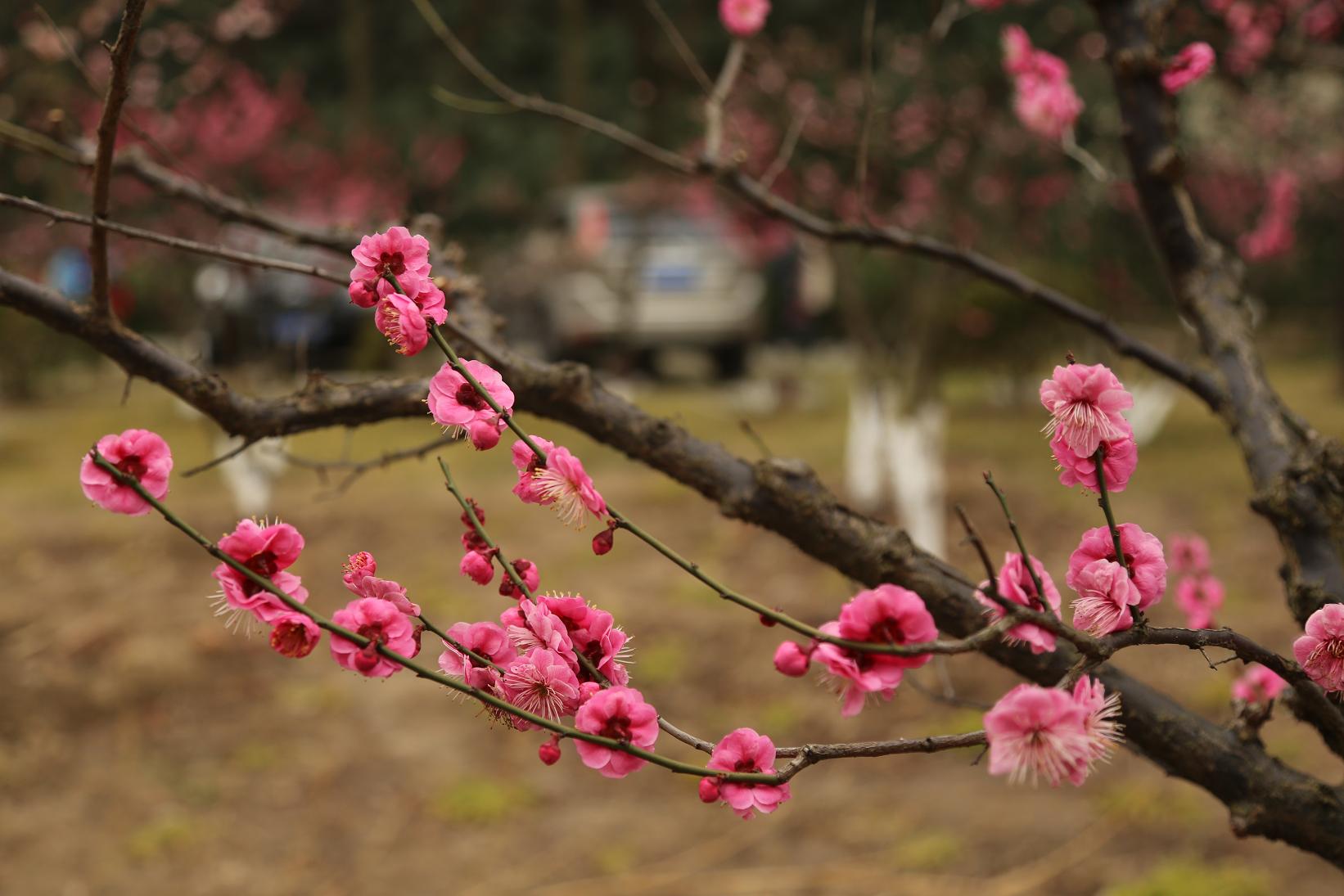 照片2015.3.7 070.jpg