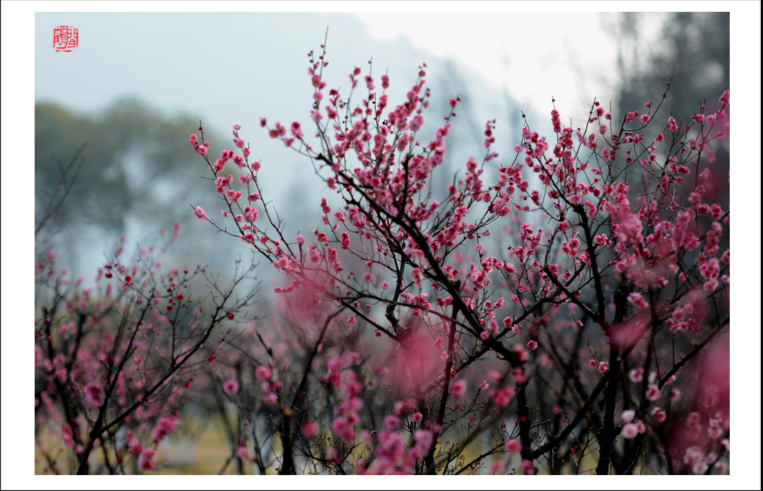 未标题-2 副本.jpg