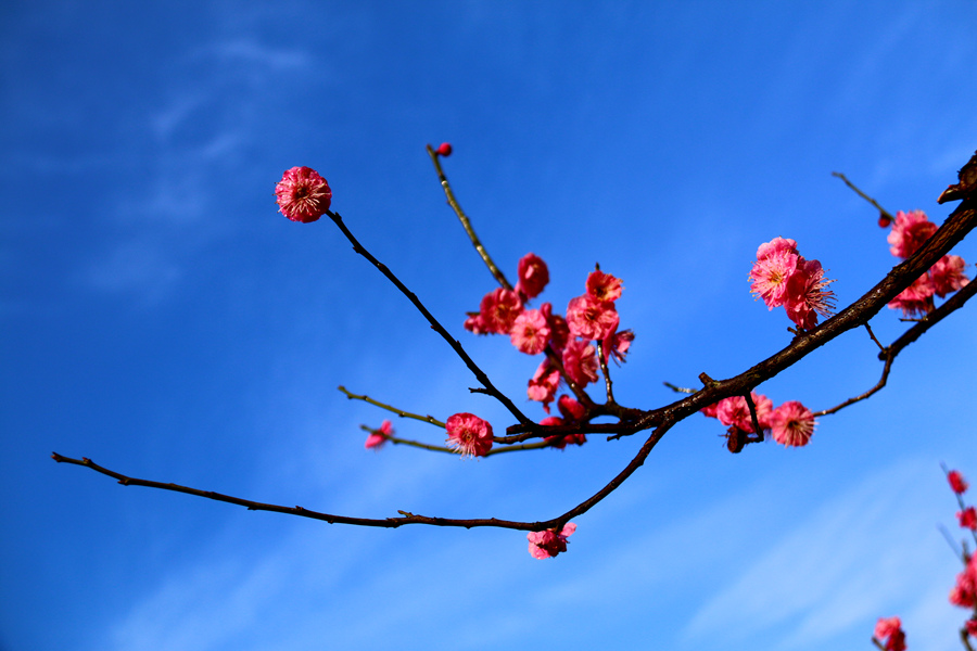 IMG_3666 - 副本.JPG