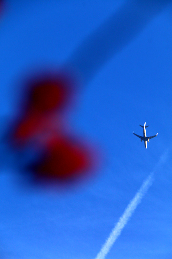 IMG_3794 - 副本.JPG