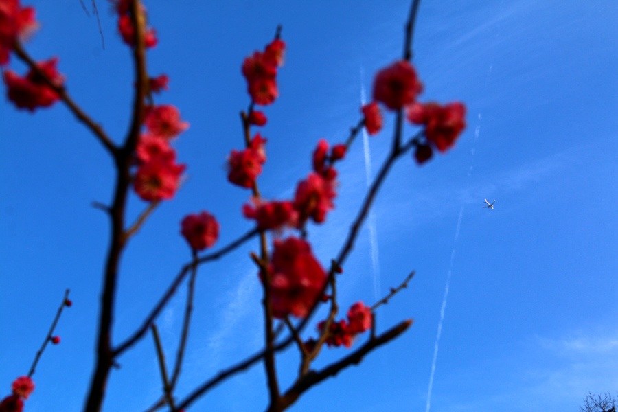 IMG_3796 - 副本.JPG