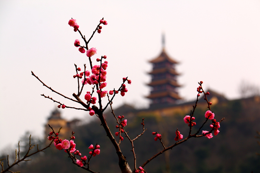 IMG_3885 - 副本.JPG