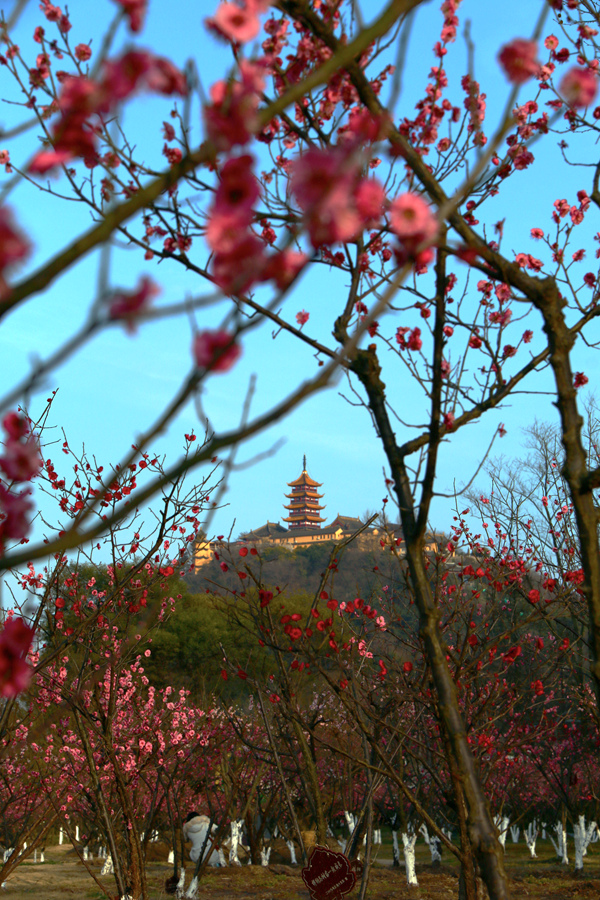 IMG_3724 - 副本.JPG