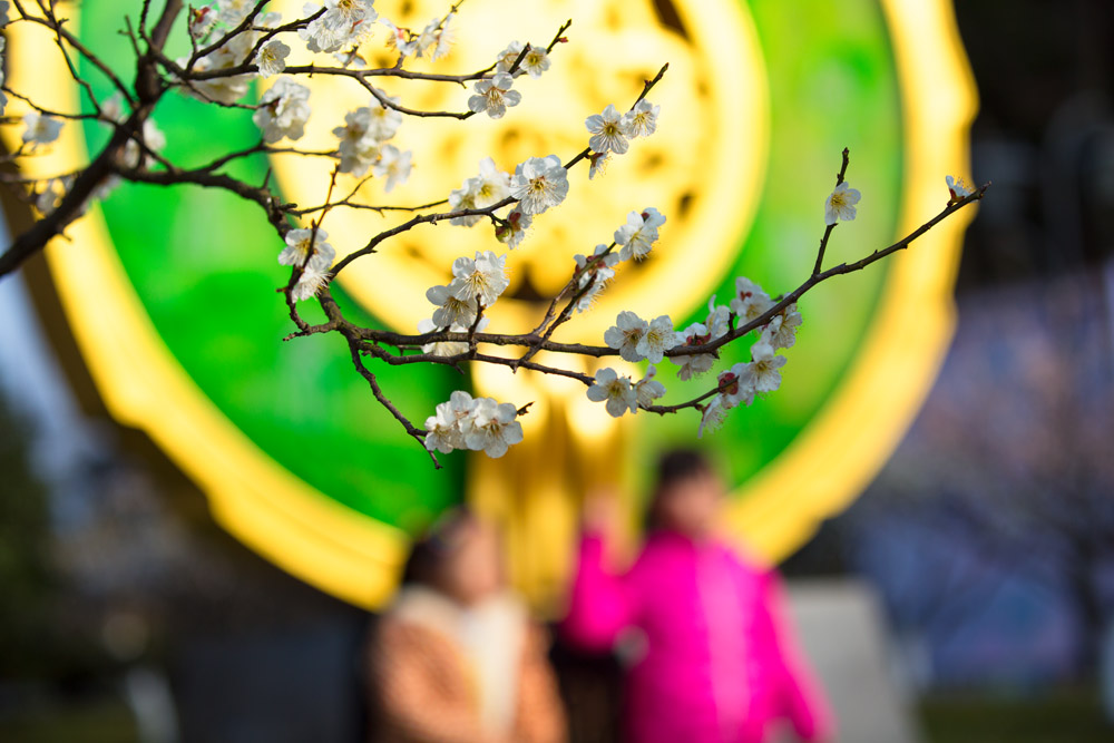 春色满园 (6).jpg