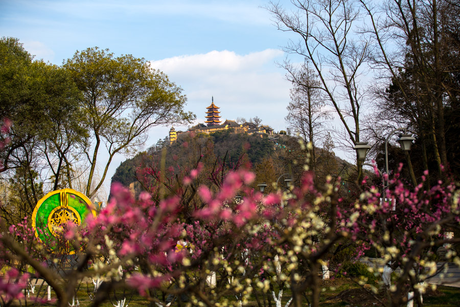 春色满园 (8).jpg