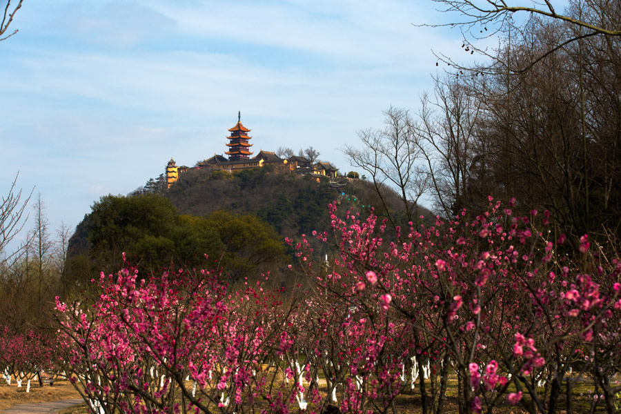 春色满园 (10).jpg