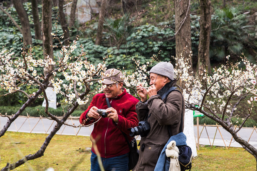拍梅赏梅尽陶醉 (2).jpg
