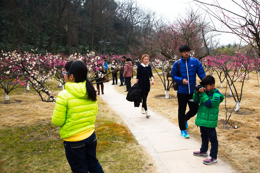 拍梅赏梅尽陶醉 (5).jpg