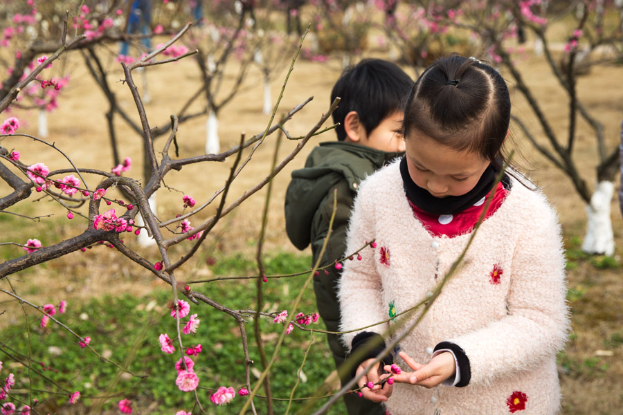 拍梅赏梅尽陶醉 (4).jpg