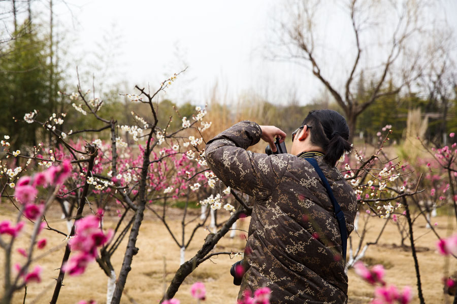 拍梅赏梅尽陶醉 (6).jpg