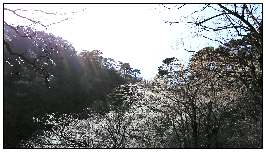 照片 874_副本.jpg