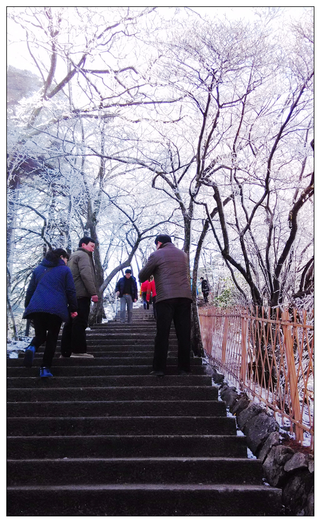 照片 885_副本.jpg