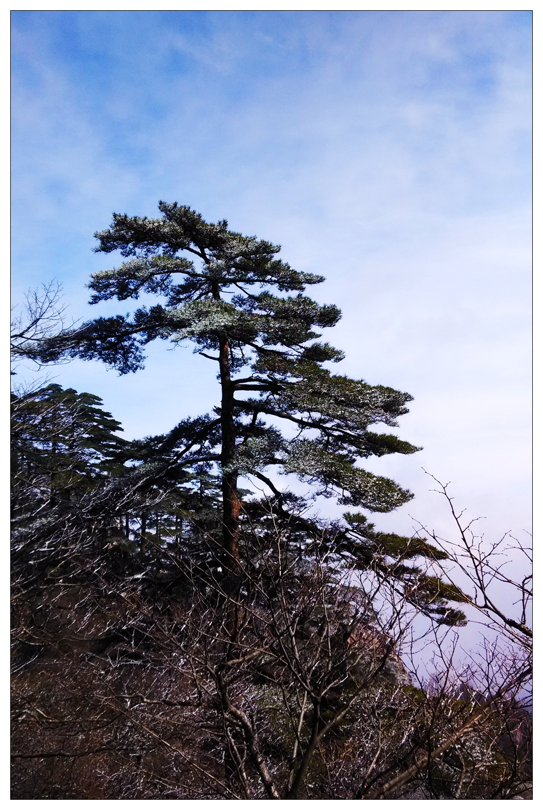 照片 875_副本.jpg