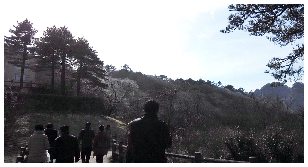 照片 908_副本.jpg