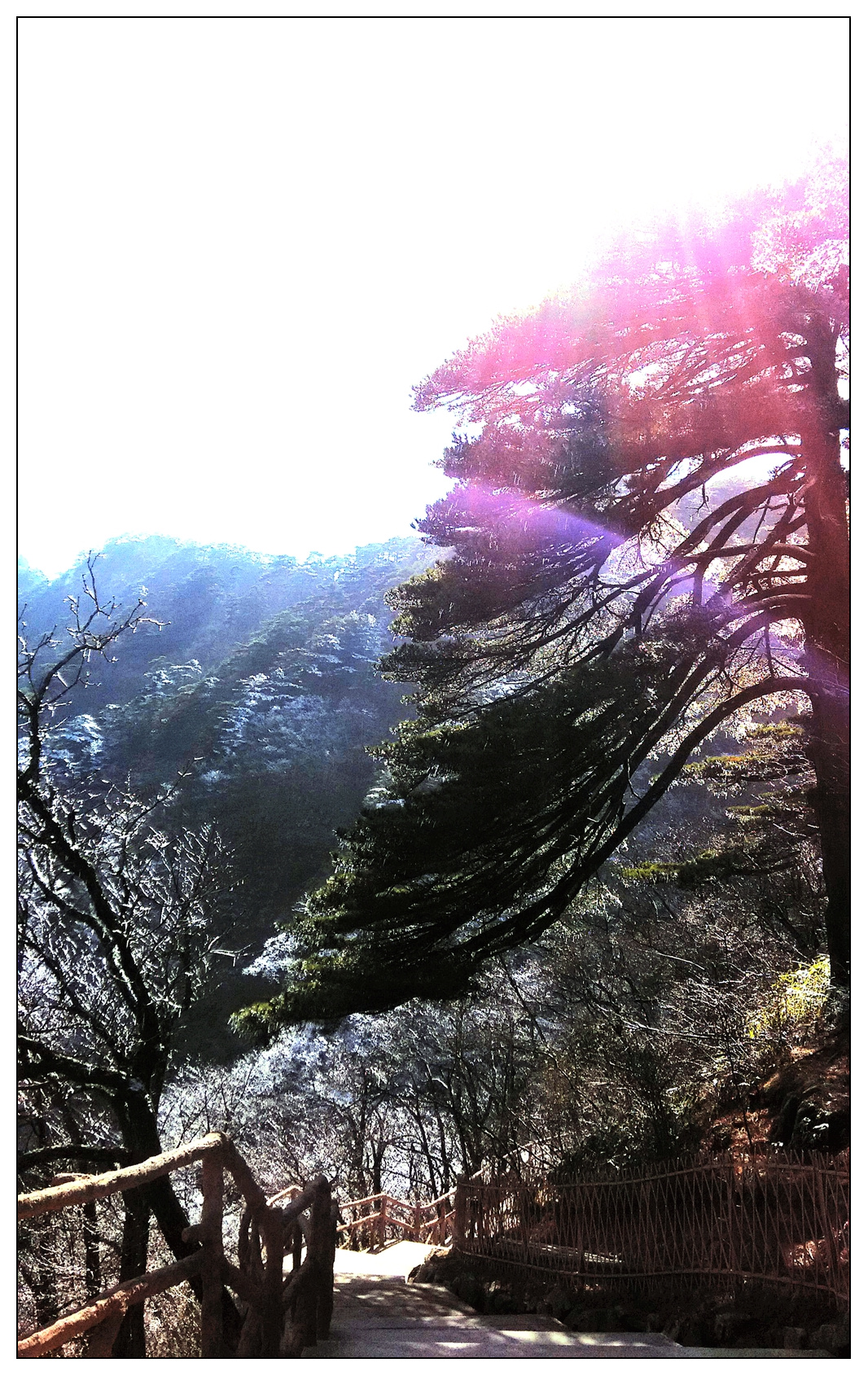 照片 880_副本.jpg