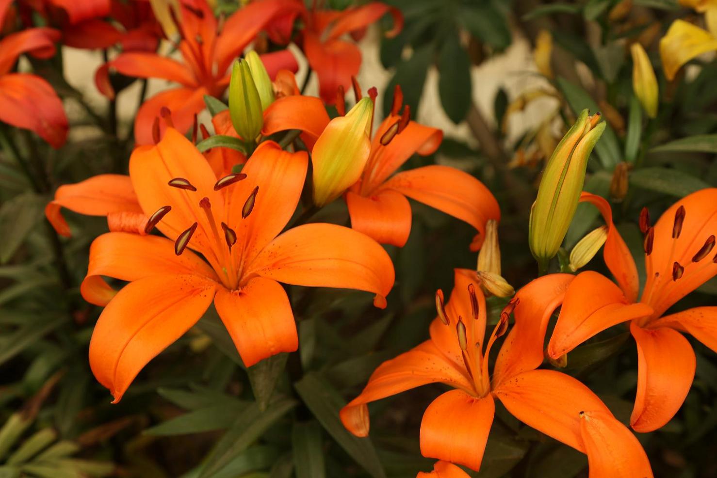 照片2015.3.7 016.jpg