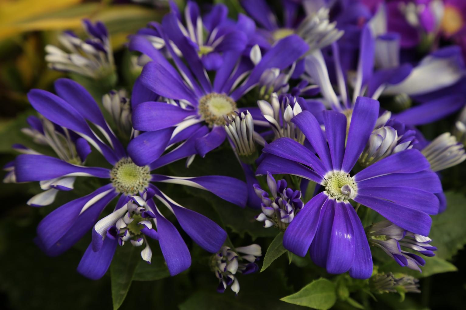 照片2015.3.7 015.jpg