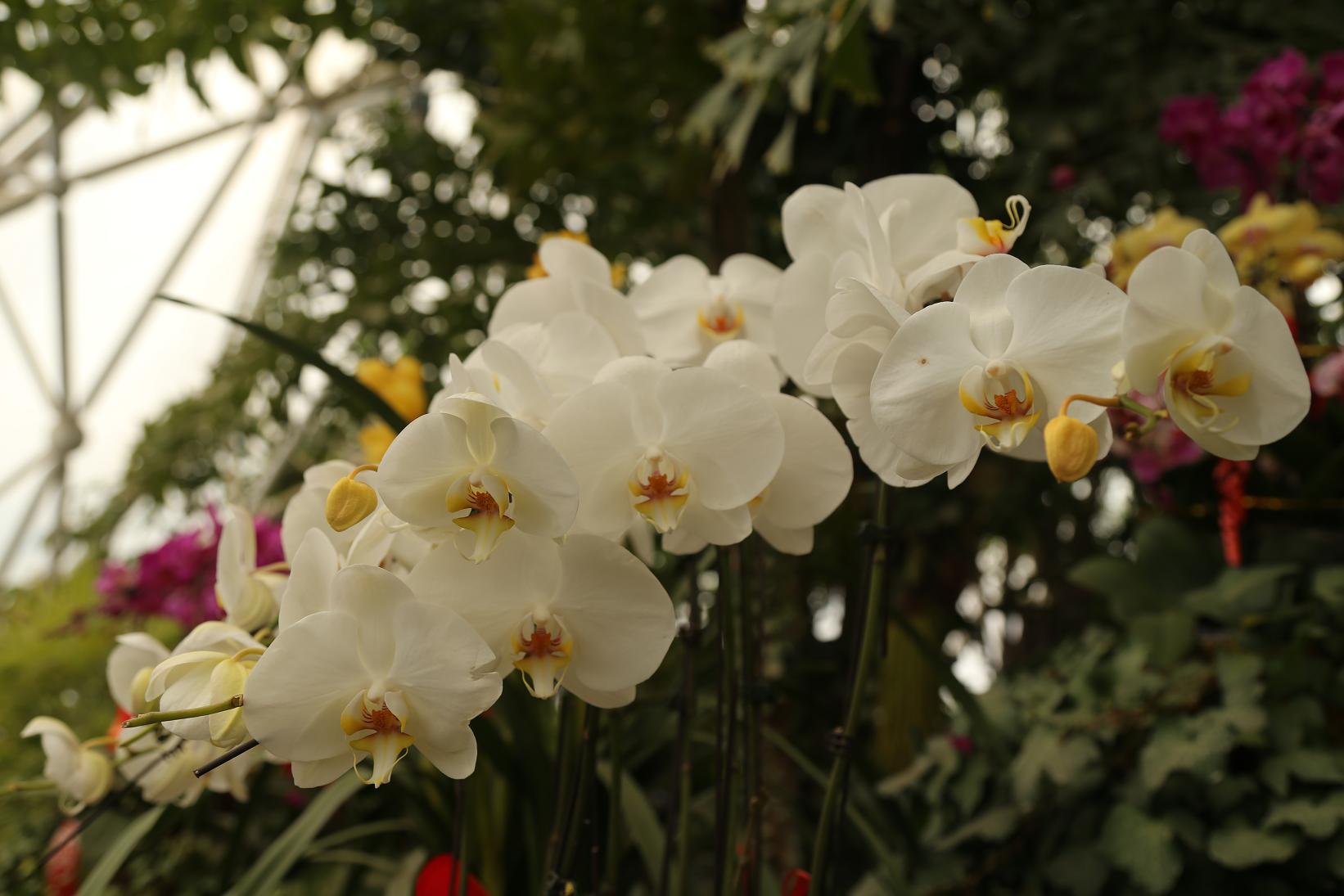 照片2015.3.7 022.jpg